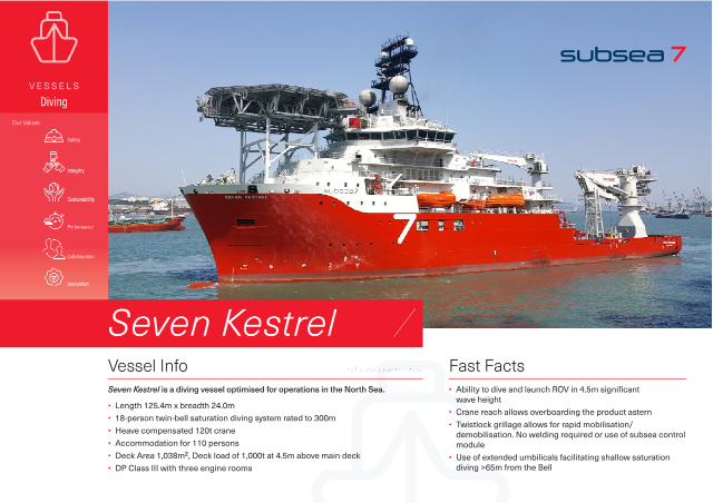 Seven Kestrel