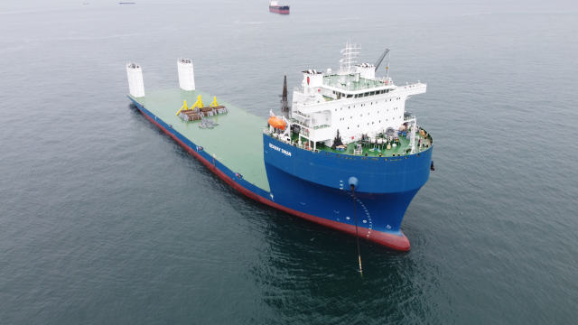 Seaway Swan
