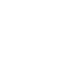 Integrity Icon