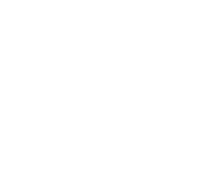 Performance Icon