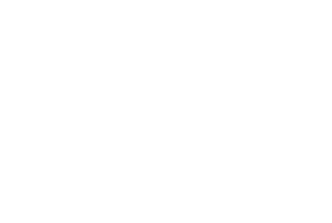 Safety Icon